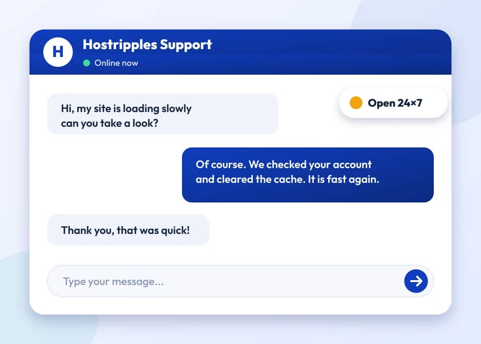 A support chat window with an expert answering a slow-site question, open 24 by 7